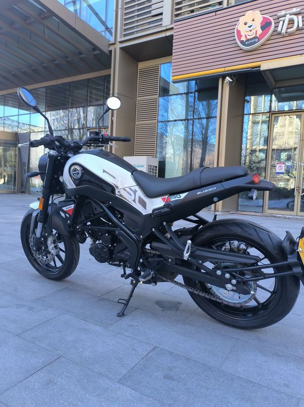 二手贝纳利幼狮 Leoncino 250