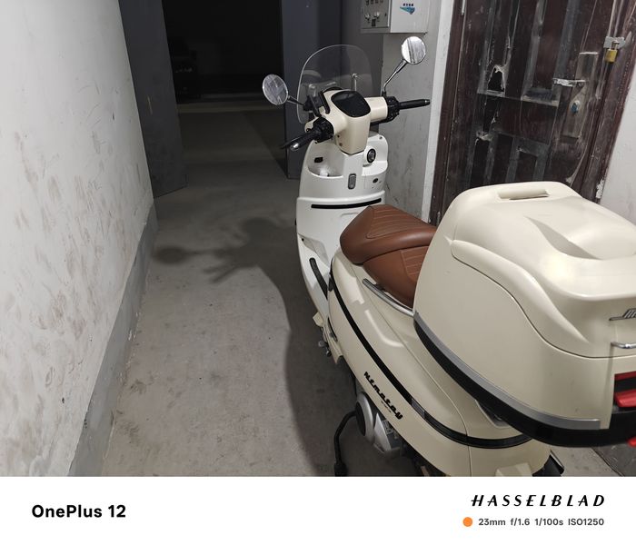 二手南方梦拉丽莎 飞戈