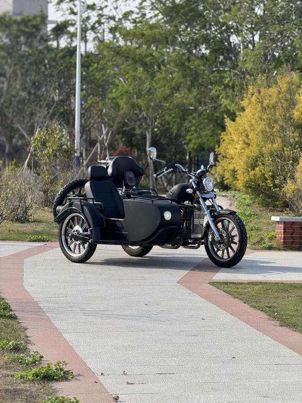 二手大地鹰王大太子边三轮 DD400B