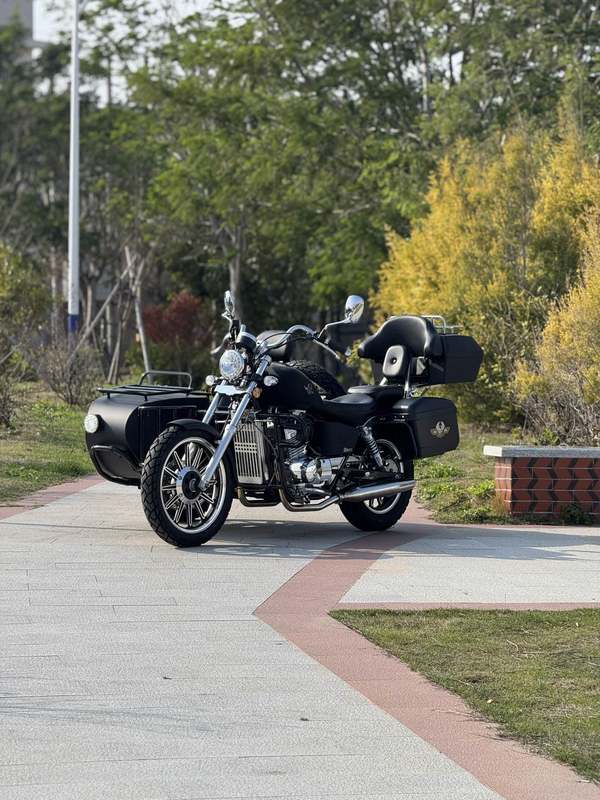 二手大地鹰王大太子边三轮 DD400B