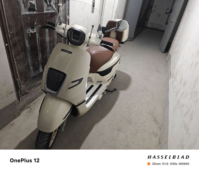 二手南方梦拉丽莎 飞戈