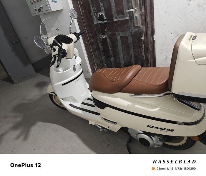 二手南方梦拉丽莎 飞戈