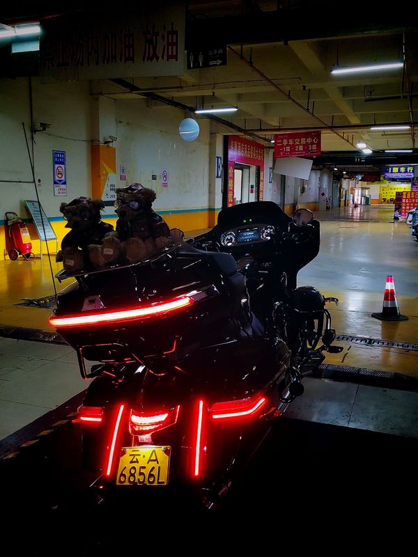 二手新威骑漫游者 RL2000