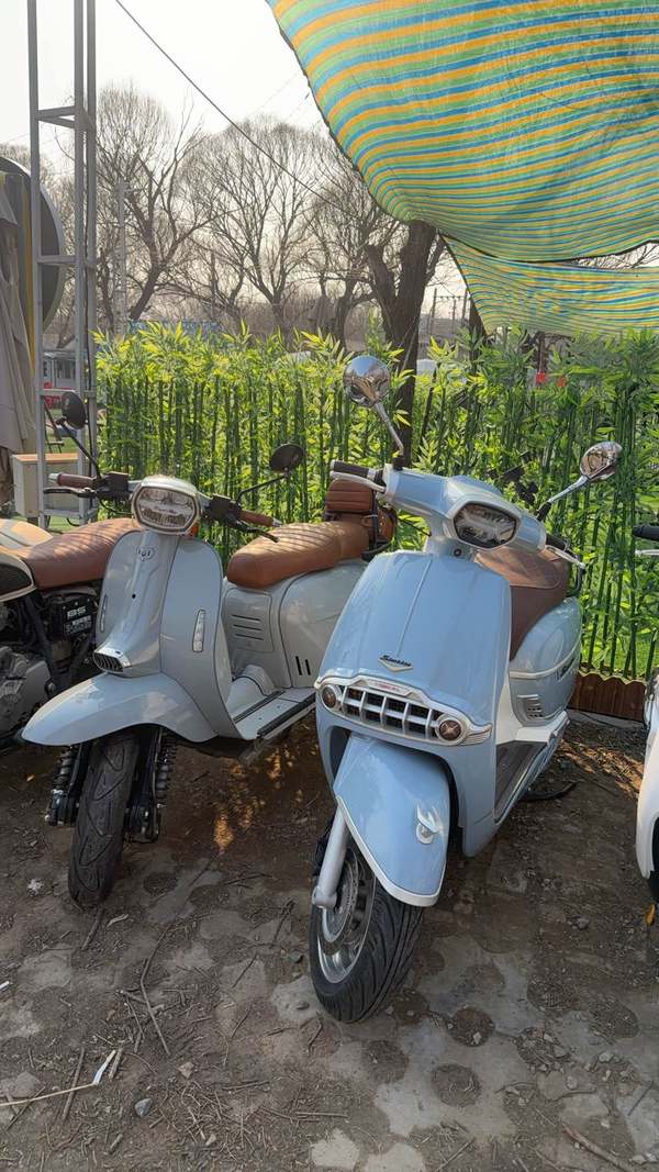 二手维多利亚Sixties 300i