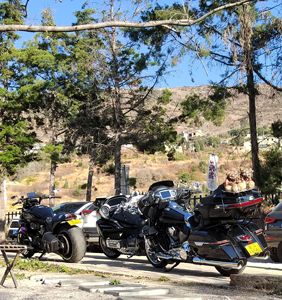 二手新威骑漫游者 RL2000