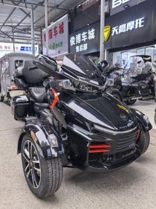 二手庄威威迪南