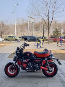 二手斯托纳猿猴125 Side Tricycle