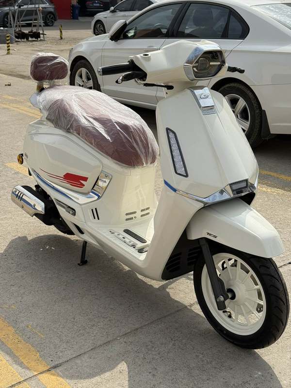 二手QJMOTOR阳光迪诺