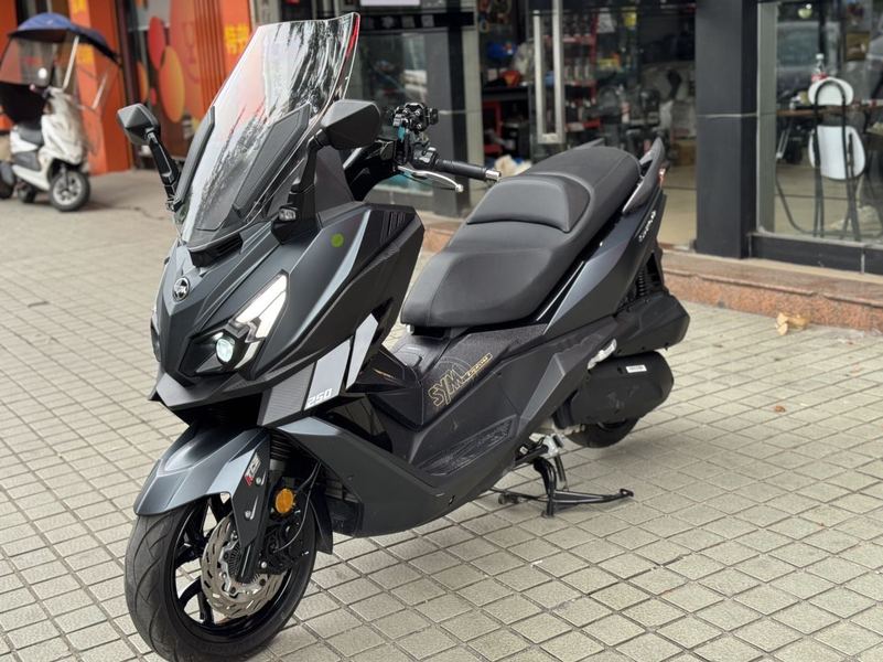 二手三阳巡弋 Cruisym250