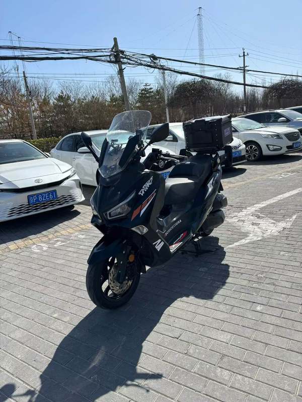 二手三阳Joymax Z 300