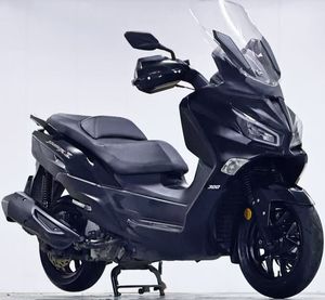 二手三阳Joymax Z 300