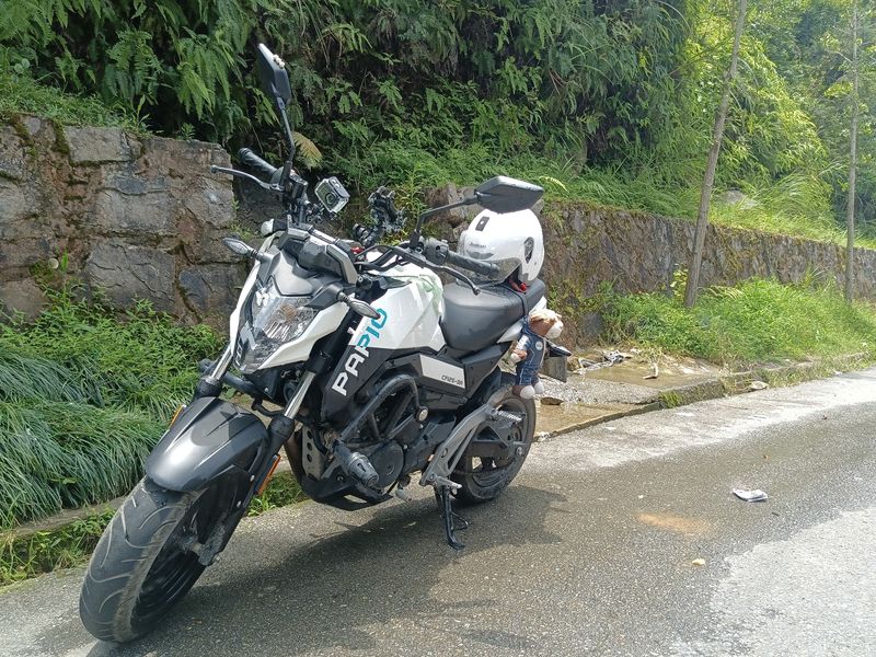 二手春风ST狒狒