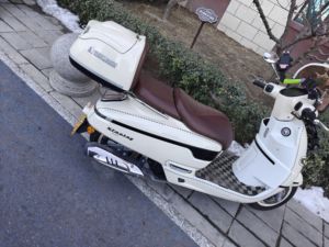 二手南方梦拉丽莎 飞戈