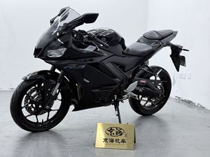 二手雅马哈YZF-R3