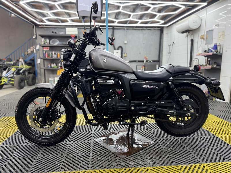 二手赛科龙RA250