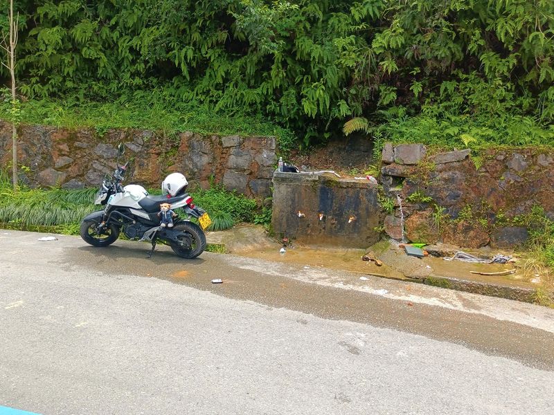 二手春风ST狒狒