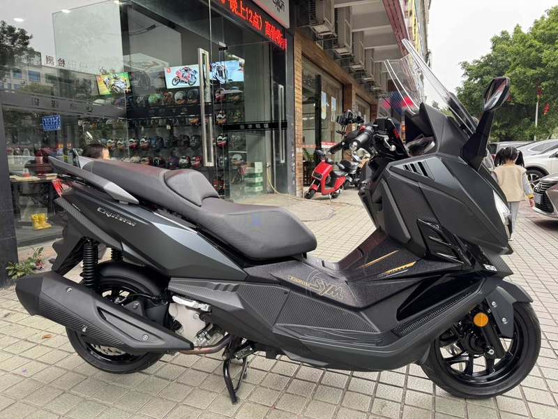 二手三阳巡弋 Cruisym250