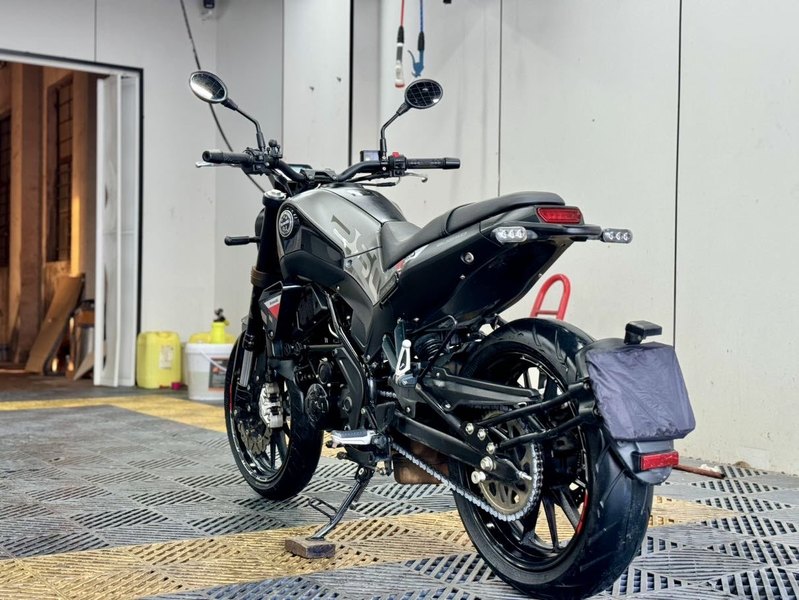 二手贝纳利幼狮 Leoncino 250