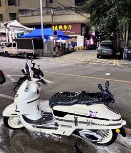 二手南方梦拉丽莎 飞戈