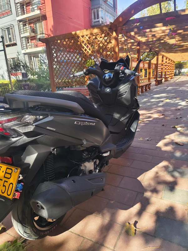 二手三阳巡弋 Cruisym250