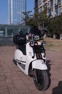 二手ROYAL ALLOYGT150