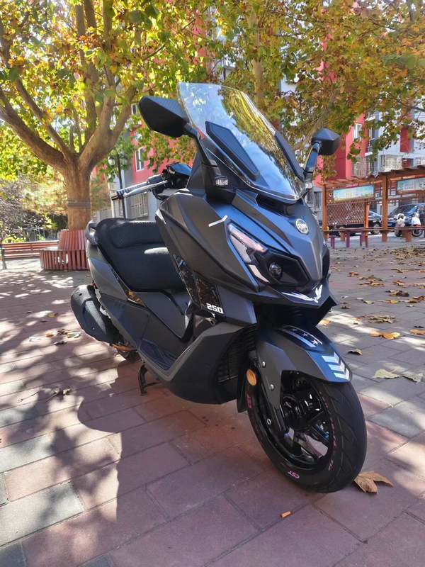 二手三阳巡弋 Cruisym250