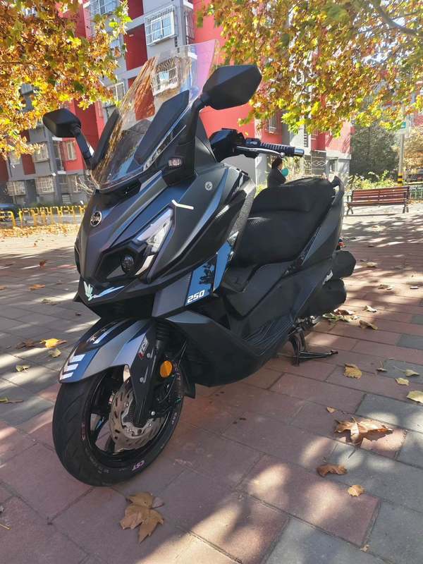 二手三阳巡弋 Cruisym250