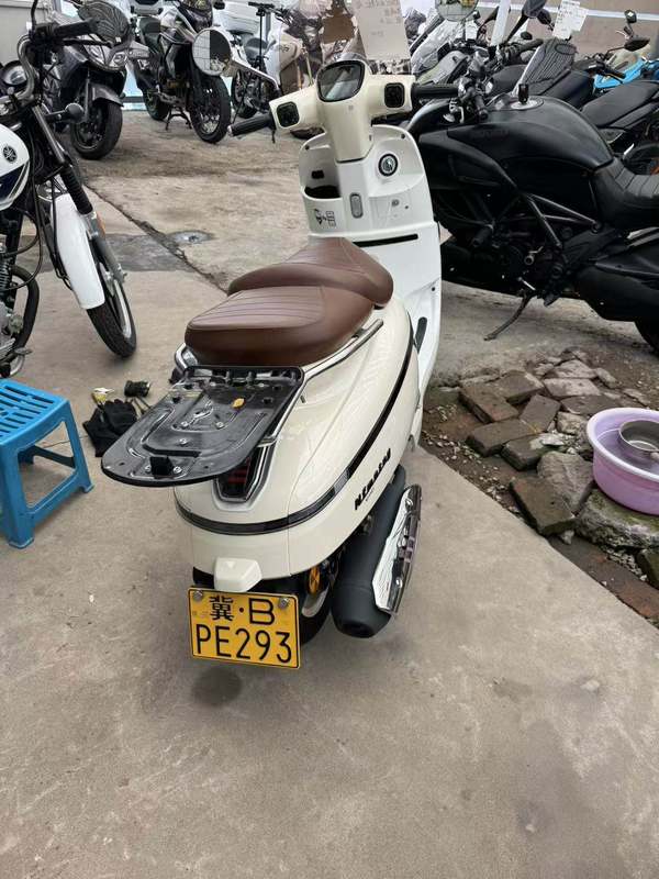 二手南方梦拉丽莎 飞戈