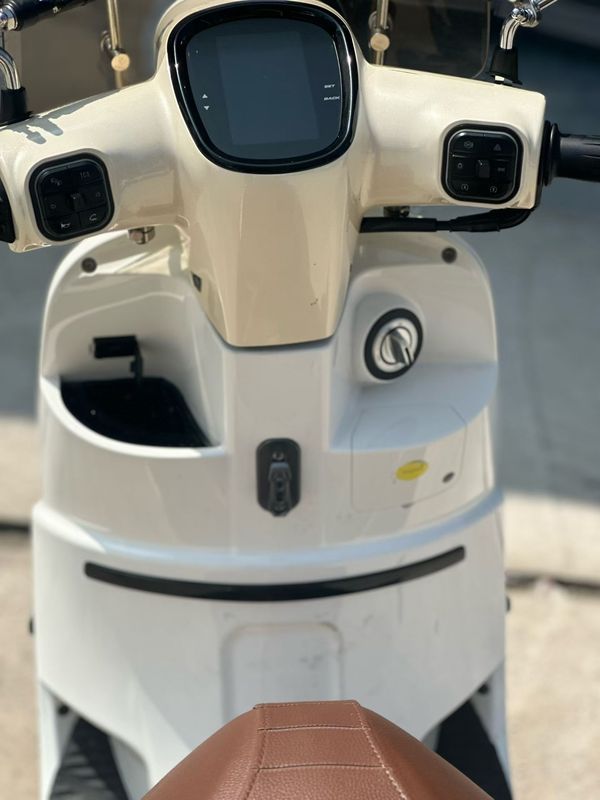 二手南方梦拉丽莎 飞戈