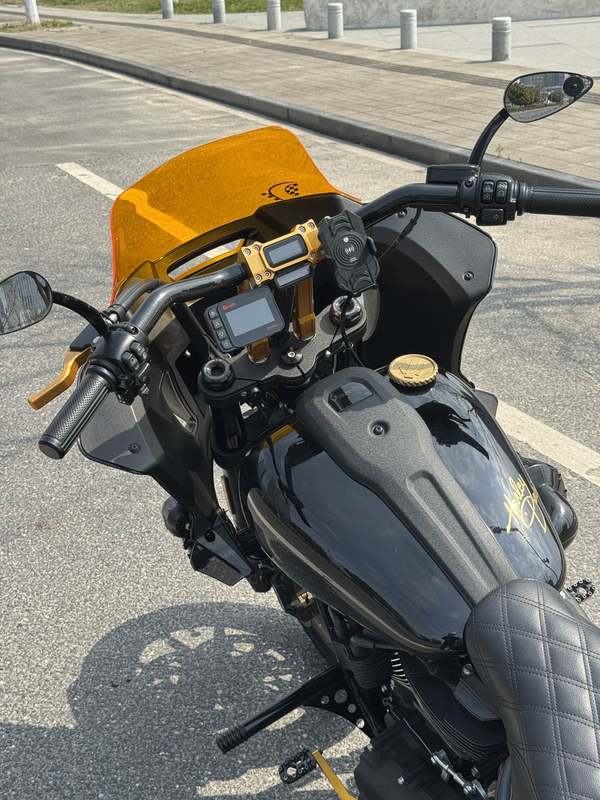 二手哈雷戴维森路威 Low Rider S