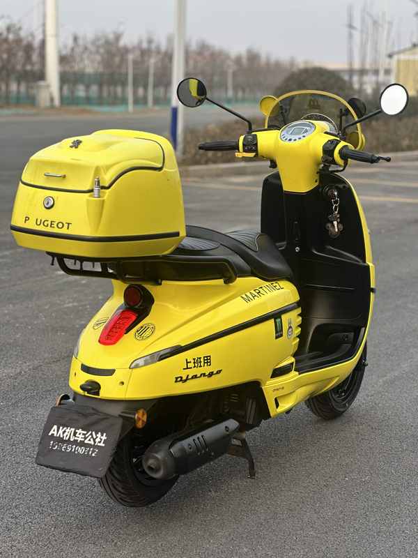 二手标致DJANGO EVO