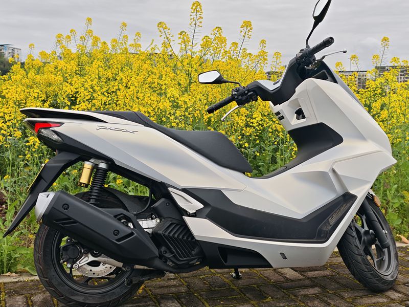 二手五羊本田PCX