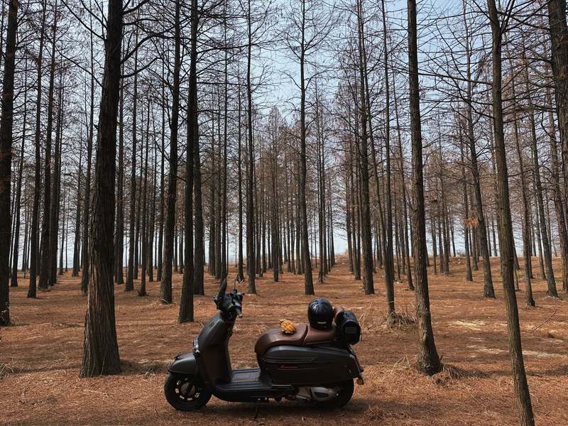 二手维多利亚Sixties 250Si