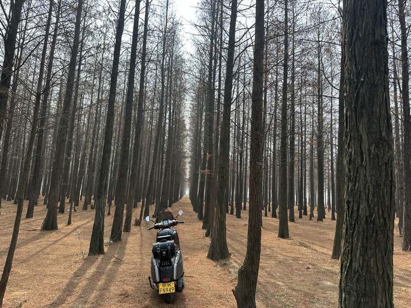 二手维多利亚Sixties 250Si