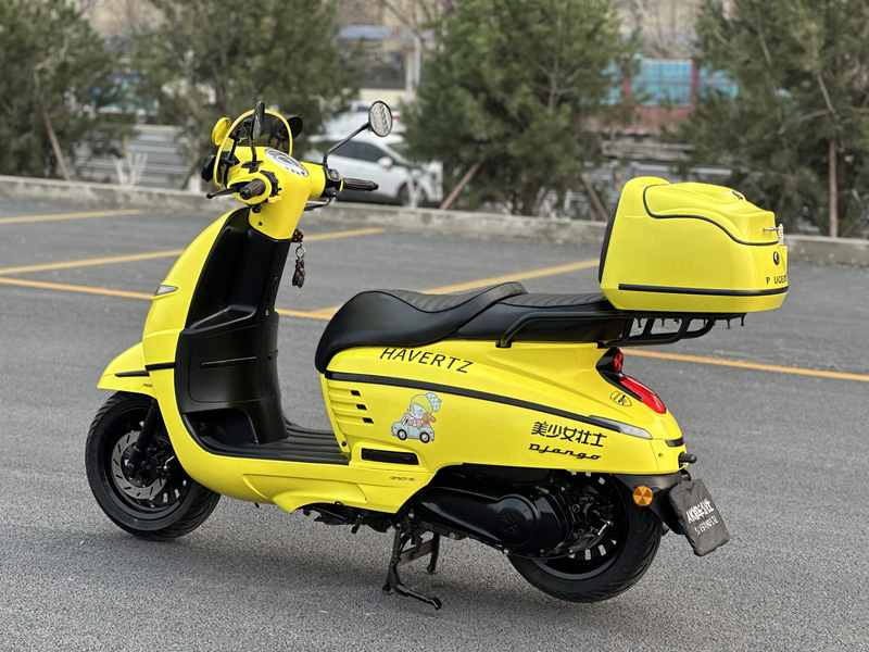 二手标致DJANGO EVO