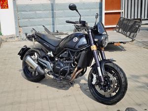 二手贝纳利幼狮 Leoncino 500