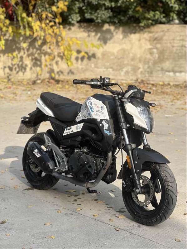 二手春风ST狒狒