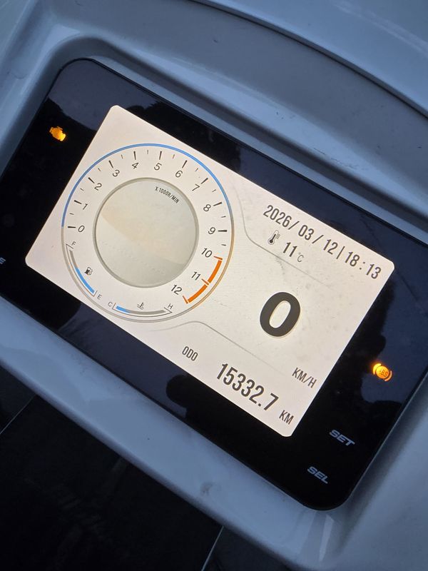 二手南方梦拉丽莎 Melalisa150