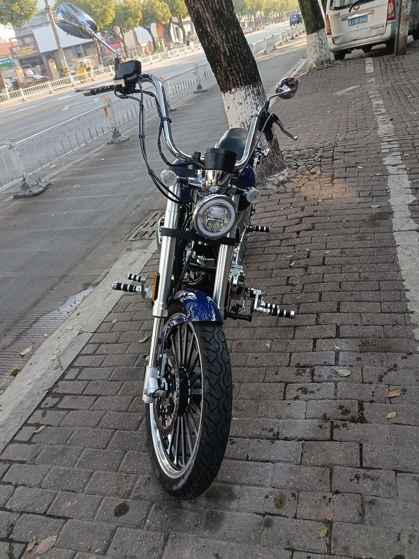 二手大地鹰王DD250V