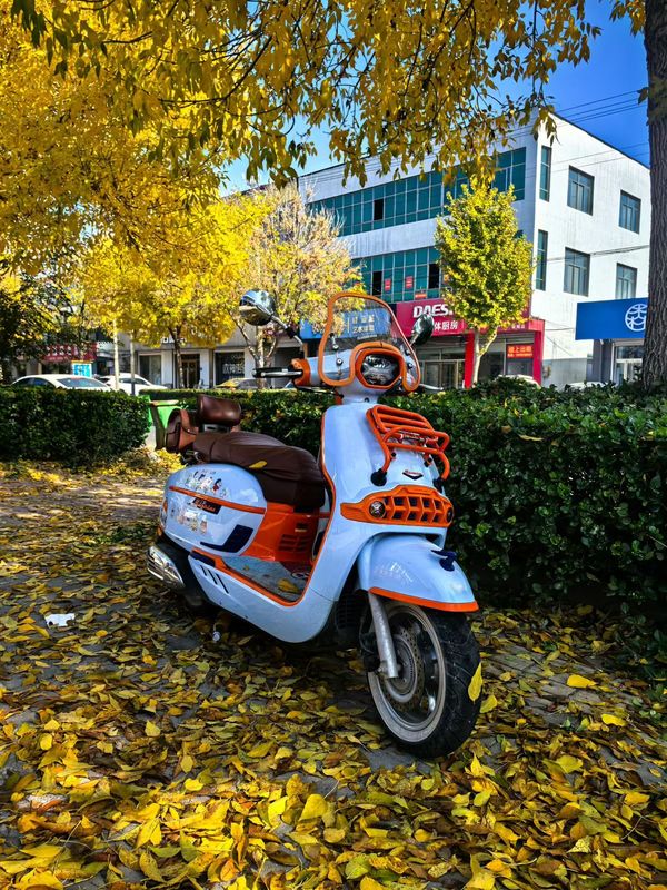 二手维多利亚Sixties 150i