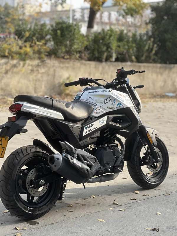 二手春风ST狒狒