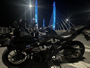 二手豪爵铃木GSX250R