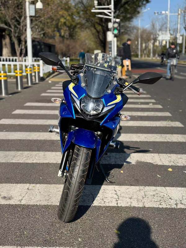 二手豪爵铃木GSX250R