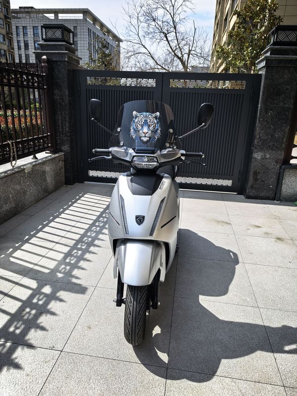 二手标致DJANGO EVO