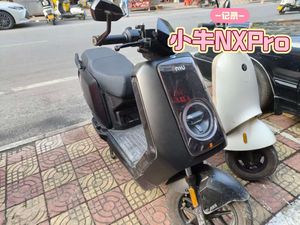 二手小牛NX