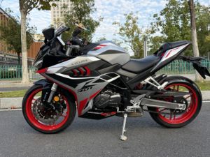 二手赛科龙RC401