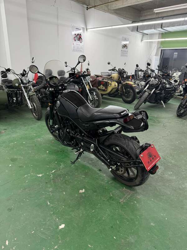 二手贝纳利幼狮 Leoncino 500