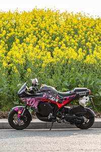 二手QJMOTOR小飞侠