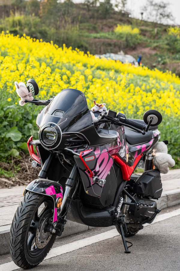 二手QJMOTOR小飞侠