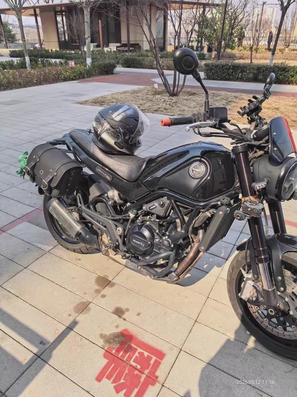 二手贝纳利幼狮 Leoncino 500